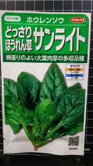 どっさり サンライト ほうれん草 ホウレンソウ 種 ３袋セット
