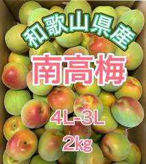 和歌山県紀南産　南高梅2㎏  4L-3L 秀-優品