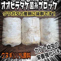 2024年最新】オオクワガタ産卵木の人気アイテム - メルカリ