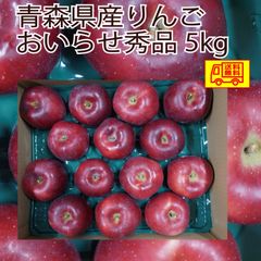 青森県産　りんご　おいらせ　贈答にも　秀品　14～18玉　５ｋｇ　送料無料