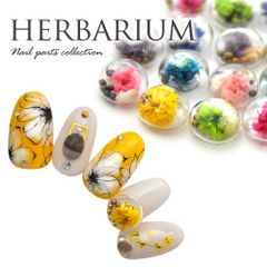 Free Shipping! Dried Flower Glass Spring Dome Nail Art Nails Flower Parts Flowers Nail Supplies Decoration Nail Parts Decorative Supplies Nail Goods Gel Nail Art Decoration Gel Gel Nail Supplies Nail Studio [Herbarium-Style Parts]