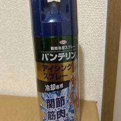 バンテリン コールドスプレー アイシング 24本 - メルカリ