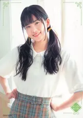 2025年最新】あぐぽんコレクションの人気アイテム - メルカリ