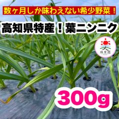 高知県特産‼️葉ニンニク 300g 即購入OK