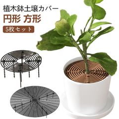 【5枚セット】植木鉢グリッド 観葉植物 いたずら防止 植物 プロテクターキャット 犬 土壌グリッドカバー 3サイズ ABSプラスチック製 フラワープロテクター 植木鉢カバー 再利用可能 猫犬掘り防止 #haze974