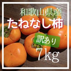 柿 たねなし柿 訳あり サイズ混合 7kg 和歌山