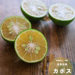 2025年最新】松茸 栽培 本の人気アイテム - メルカリ