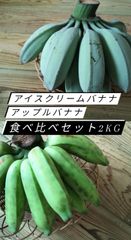 石垣島産 アイスクリームバナナ&アップルバナナ