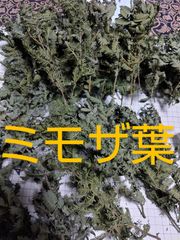 ミモザ  ドライ 大サイズ 乾燥 ドライフラワーに 各種ハンドメイド素材に：