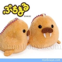 セイウチ ぬいぐるみ アミューズ ぷちまる アニマルズ DX AMUFUN 海象 5cm 水族館グッズ