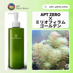 【お得セット】APT ZERO 300ml＆ミリオフィラム・ゴールデン 水草 2hr aquarist アクアリウム