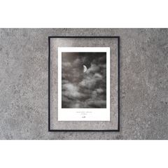 アートポスター】モノクロ 写真 建築物 建物 美術館 曲線 コンクリート