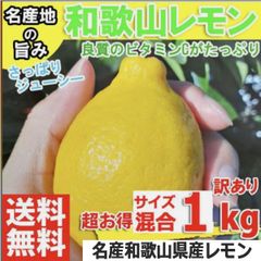 国産レモン 1キロ 和歌山県産 れもん 檸檬 訳あり