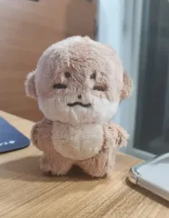 SEVENTEEN ディノ ぬいぐるみ チャンタン・クルチャニ まとめ