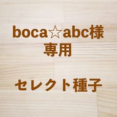 boca☆abc様専用　セレクト種子　8袋