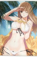 住乃絵紫苑 特大タペストリー ドルフィンウェーブ - メルカリ