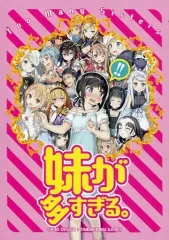 2025年最新】妹さえいればいい。11 カードゲーム付き特装版の