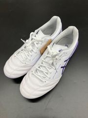 アシックス DS LIGHT X-FLY 5 (1101A047-104)