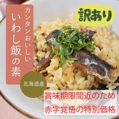 【訳あり食品】北海道産　いわし飯の素　2合用　【大特価】【数量限定】【簡単調理】
