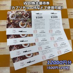 WDI株主優待券 12000円分
