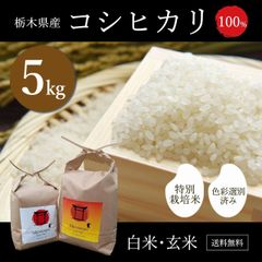 栃木県産　コシヒカリ　令和4年度産　特別栽培米　5ｋｇ
