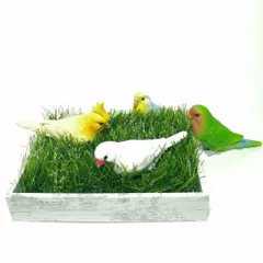 バードトイ　「箱芝フォージングトイ」　インコ　ハムスター　うさぎ　おもちゃ