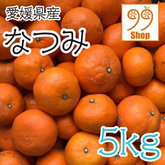 愛媛県産 なつみ 5kg 1299円 訳あり 家庭用 柑橘