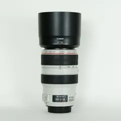 点検・清美済】Canon EF 70-300mm F4-5.6 ISⅡUSM