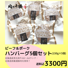 北海道産牛・豚使用！ハンバーグ５個セット（冷凍）送料込３３００円