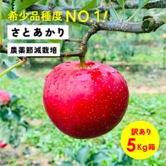 幻の林檎 「さとあかり5キロ箱A品B品ミックス」減農薬 農林水産大臣賞 りんご 長野県産 安曇野 信州産 産地直送 送料無料 5キロ 箱使用 果物 フルーツ 鮮度抜群 産地直送