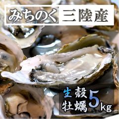 生食OK 5kg 三陸産 殻付き生牡蠣 解禁したて 希少 数量限定 新鮮 宮城