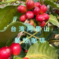 台湾珈琲【ミディアム】台湾コーヒー　台湾阿里山 希少な台湾産ゲイシャ豆　完全無農薬　コーヒー｜105g　自家焙煎豆　フルーティ　藝妓咖啡　Alishan Geisha