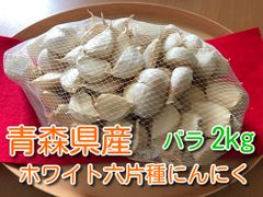 【わけあり品】青森県産ホワイト六片種にんにく バラ 2kg（1kg×2ネット) 令和5年産【高糖度】