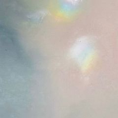ビューティーベリー