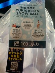 インドア　雪合戦　スノーボール