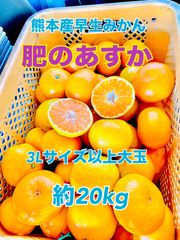 熊本産早生みかん(肥のあすか)3Sサイズ10kg - メルカリ