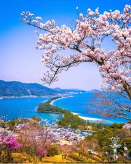 psa7】リザードン トップサン かえんほうしゃ NO.006 - メルカリ