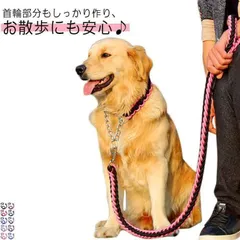 新品! リード 首輪 2点セット 犬 首輪セット リードセット 小型犬 中型犬 大型犬 太く 頑丈 丈夫 犬用リード 極太 編み紐 噛み癖 防止 ドッググッズ 散歩 お出かけ しつけ ペット ペット kkkvzc