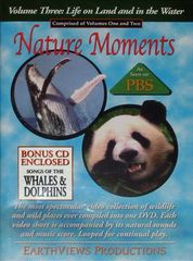 Nature Moments: Life in the Water and on the Land