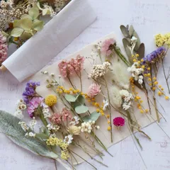 繊細！小さな花材セット