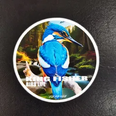 🪺新品🎵　未使用品　送料込価格🎵　野鳥　カワセミ　KING　FISHER　Common kingfisher　ヂゴグドリ　ザッコドリ　シナゴドリ　ヘビノイシャ　ビッシィ　清流　小川　シール　「カワセミ　防水　ステッカー」（約６０ｍｍ×約６０ｍｍ）