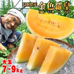 早期クーポンで10％OFF☆6月中下旬～発送予定☆スイカ金色羅皇(こんじきらおう)1玉7-9kg程度鳥取県北栄町産(旧大栄町)農家産地直送果物すいか西瓜お中元