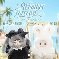 nommi v8 シークレット 2025年最新】NOMMI シークレットの人気アイテム - メルカリ
