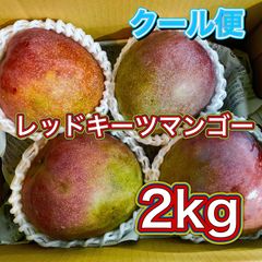 レッドキーツマンゴー2kg