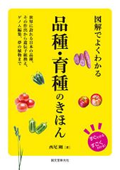 CD)YELLOW MAGICAL TYPHOON／CASCADE - メルカリ