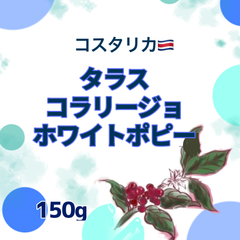 コスタリカ🇨🇷　ホワイトポピー