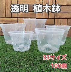 植木鉢 透明 プランター　SSサイ ズ　#110　100個　 園芸 　観葉植物 熱帯植物 ガーデニング 寄せ植え　花 植物 発根 観察　モンステラ　ポトス　アンスリウム　アロカシア　パキラ　ガジュマル　ホヤ　アガベ　多肉植物等に