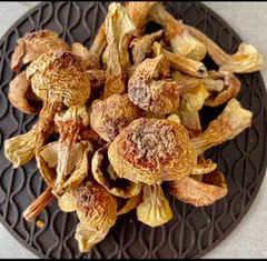【医食同源】干し姫マツタケ　幻いキノコ　100g  1500円