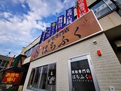 漫画〉キングダム セット価格 1巻〜56巻 原泰久 KINGDOM 集英社 - メルカリ