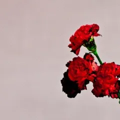 ラブ・イン・ザ・フューチャー 【CD、音楽 中古 CD】レンタル落ち